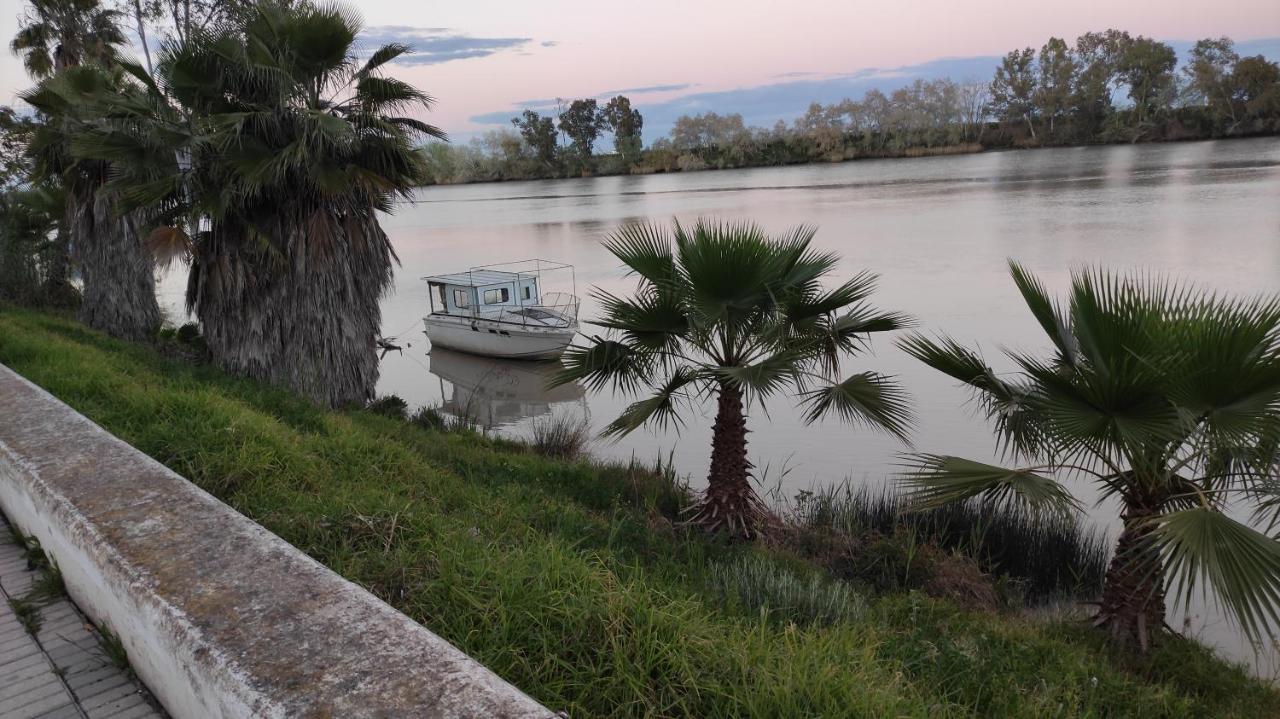Habitacion Doble Con Aseo Compartido Coria del Río Kültér fotó