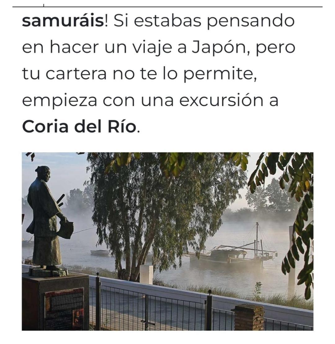 Habitacion Doble Con Aseo Compartido Coria del Río Szoba fotó